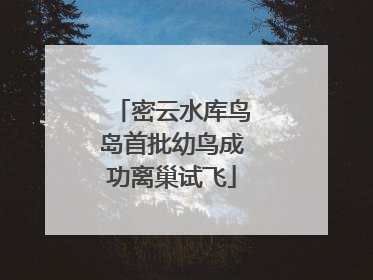 密云水库鸟岛首批幼鸟成功离巢试飞