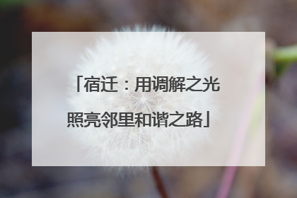 宿迁：用调解之光照亮邻里和谐之路