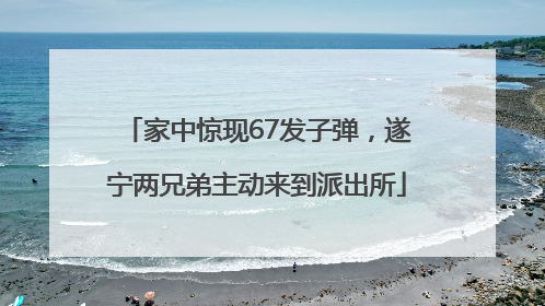家中惊现67发子弹，遂宁两兄弟主动来到派出所