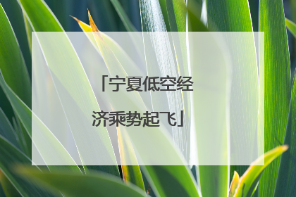 宁夏低空经济乘势起飞