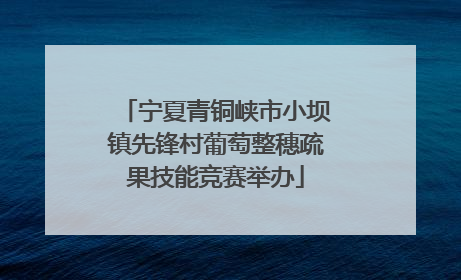 宁夏青铜峡市小坝镇先锋村葡萄整穗疏果技能竞赛举办