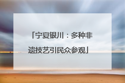 宁夏银川：多种非遗技艺引民众参观