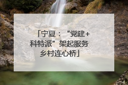 宁夏：“党建+科特派”架起服务乡村连心桥