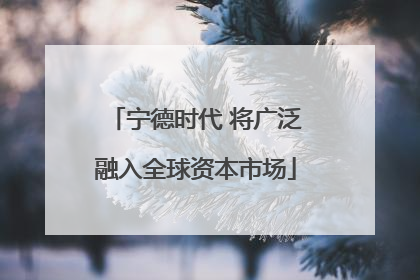 宁德时代 将广泛融入全球资本市场