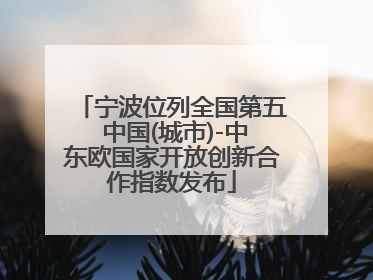 宁波位列全国第五 中国(城市)-中东欧国家开放创新合作指数发布