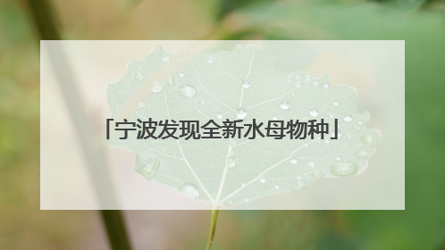 宁波发现全新水母物种