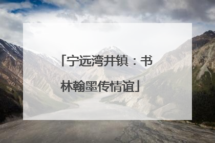 宁远湾井镇：书林翰墨传情谊