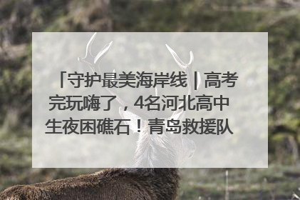 守护最美海岸线｜高考完玩嗨了，4名河北高中生夜困礁石！青岛救援队火速出动救上岸