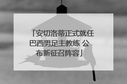 安切洛蒂正式就任巴西男足主教练 公布新征召阵容