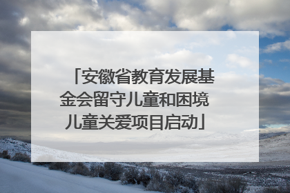 安徽省教育发展基金会留守儿童和困境儿童关爱项目启动