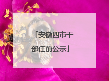安徽四市干部任前公示