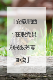 安徽肥西：在职党员为民服务零距离