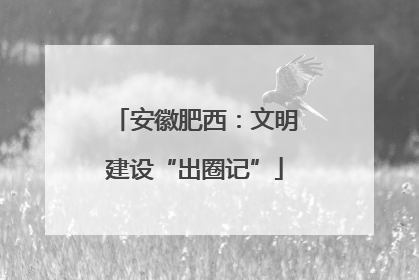 安徽肥西：文明建设“出圈记”