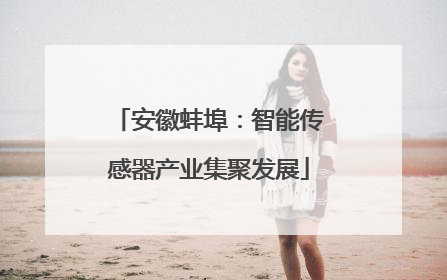 安徽蚌埠：智能传感器产业集聚发展