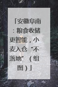 安徽阜南：粮食收储更智能，小麦入仓“不落地”（组图）