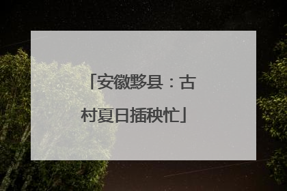 安徽黟县：古村夏日插秧忙
