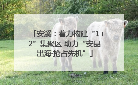 安溪：着力构建“1+2”集聚区 助力“安品出海·抢占先机”