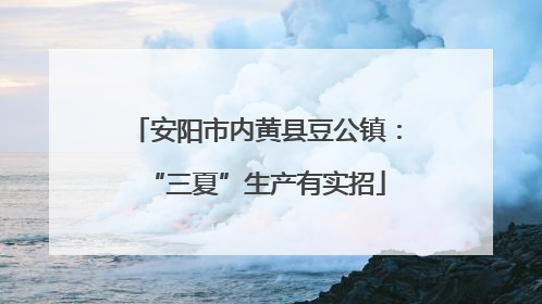 安阳市内黄县豆公镇：“三夏”生产有实招