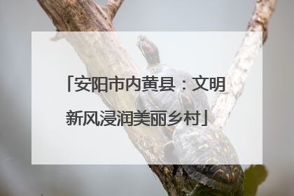 安阳市内黄县：文明新风浸润美丽乡村