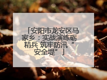 安阳市龙安区马家乡：实战演练砺精兵 筑牢防汛“安全堤”