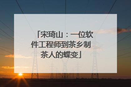 宋琦山：一位软件工程师到茶乡制茶人的蝶变