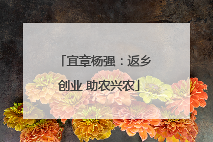 宜章杨强：返乡创业 助农兴农