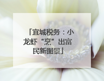 宜城税务：小龙虾“烹”出富民新图景