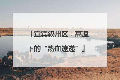 宜宾叙州区：高温下的“热血速递”