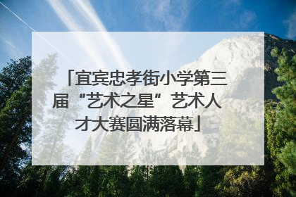宜宾忠孝街小学第三届“艺术之星”艺术人才大赛圆满落幕