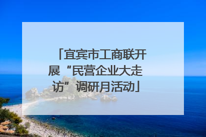 宜宾市工商联开展“民营企业大走访”调研月活动