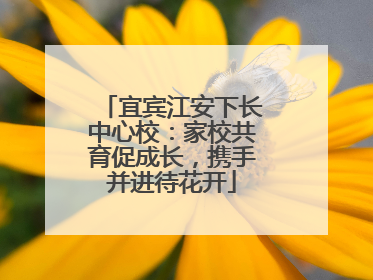 宜宾江安下长中心校：家校共育促成长，携手并进待花开