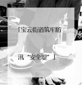 宝云街道筑牢防汛“安全堤”