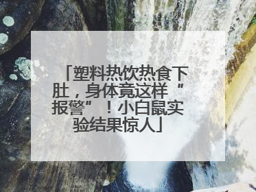 塑料热饮热食下肚，身体竟这样“报警”！小白鼠实验结果惊人