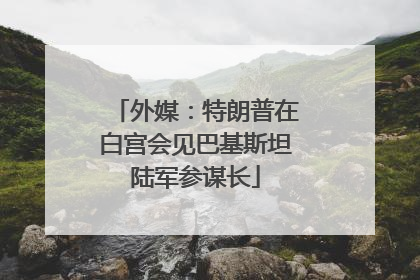 外媒：特朗普在白宫会见巴基斯坦陆军参谋长