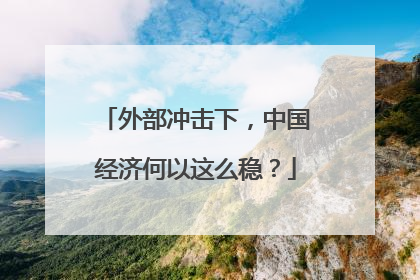 外部冲击下，中国经济何以这么稳？