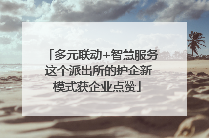多元联动+智慧服务 这个派出所的护企新模式获企业点赞