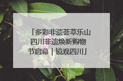 多彩非遗荟萃乐山 四川非遗焕新购物节启幕｜镜观四川