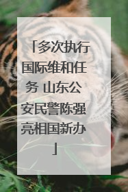多次执行国际维和任务 山东公安民警陈强亮相国新办
