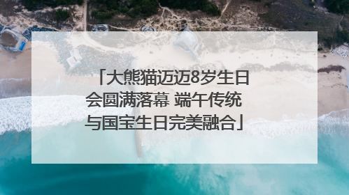 大熊猫迈迈8岁生日会圆满落幕 端午传统与国宝生日完美融合