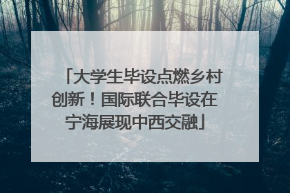 大学生毕设点燃乡村创新！国际联合毕设在宁海展现中西交融