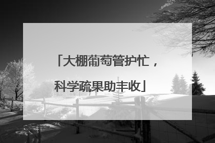大棚葡萄管护忙，科学疏果助丰收