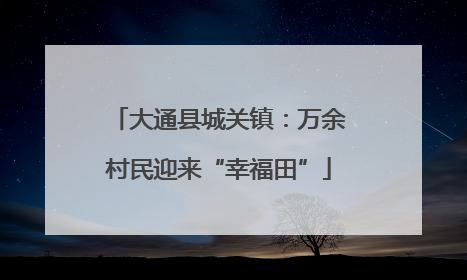 大通县城关镇：万余村民迎来“幸福田”