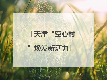 天津“空心村”焕发新活力