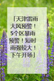 天津雷雨大风预警！5个区暴雨预警！短时雨强较大！下午开场