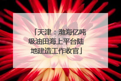 天津：渤海亿吨级油田海上平台陆地建造工作收官