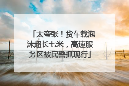 太夸张！货车载泡沫超长七米，高速服务区被民警抓现行