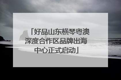 好品山东横琴粤澳深度合作区品牌出海中心正式启动