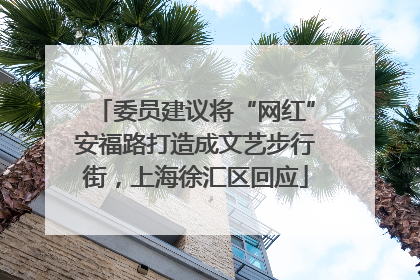 委员建议将“网红”安福路打造成文艺步行街，上海徐汇区回应