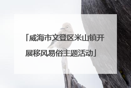 威海市文登区米山镇开展移风易俗主题活动