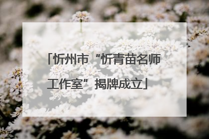 忻州市“忻青苗名师工作室”揭牌成立